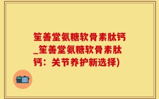 笙善堂氨糖软骨素肽钙_笙善堂氨糖软骨素肽钙：关节养护新选择)