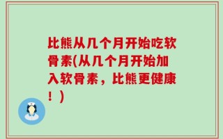 比熊从几个月开始吃软骨素(从几个月开始加入软骨素，比熊更健康！)
