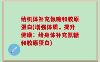给机体补充氨糖和胶原蛋白(增强体质，提升健康：给身体补充氨糖和胶原蛋白)