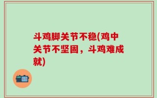 斗鸡脚关节不稳(鸡中关节不坚固，斗鸡难成就)
