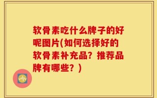 软骨素吃什么牌子的好呢图片(如何选择好的软骨素补充品？推荐品牌有哪些？)