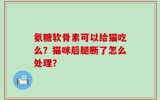 氨糖软骨素可以给猫吃么？猫咪后腿断了怎么处理？