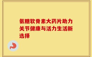 氨糖软骨素大药片助力关节健康与活力生活新选择