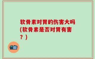 软骨素对胃的伤害大吗(软骨素是否对胃有害？)