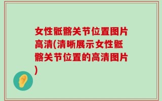 女性骶髂关节位置图片高清(清晰展示女性骶髂关节位置的高清图片)