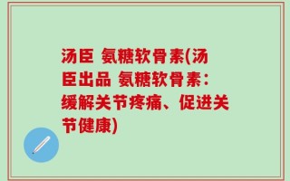 汤臣 氨糖软骨素(汤臣出品 氨糖软骨素：缓解关节疼痛、促进关节健康)