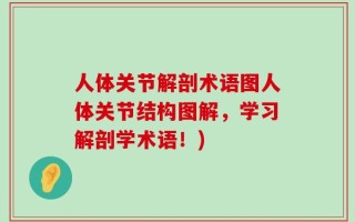 人体关节解剖术语图人体关节结构图解，学习解剖学术语！)