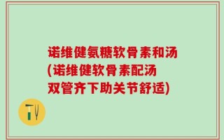 诺维健氨糖软骨素和汤(诺维健软骨素配汤 双管齐下助关节舒适)