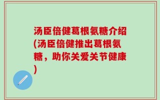 汤臣倍健葛根氨糖介绍(汤臣倍健推出葛根氨糖，助你关爱关节健康)