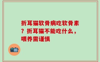折耳猫软骨病吃软骨素？折耳猫不能吃什么，喂养需谨慎