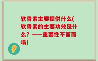 软骨素主要提供什么(软骨素的主要功效是什么？——重要性不言而喻)