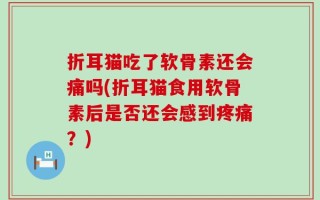 折耳猫吃了软骨素还会痛吗(折耳猫食用软骨素后是否还会感到疼痛？)