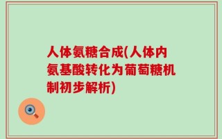 人体氨糖合成(人体内氨基酸转化为葡萄糖机制初步解析)