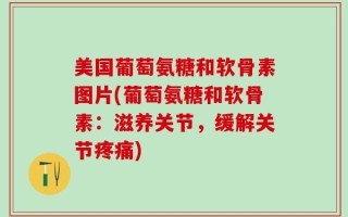 美国葡萄氨糖和软骨素图片(葡萄氨糖和软骨素：滋养关节，缓解关节疼痛)