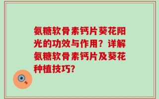 氨糖软骨素钙片葵花阳光的功效与作用？详解氨糖软骨素钙片及葵花种植技巧？