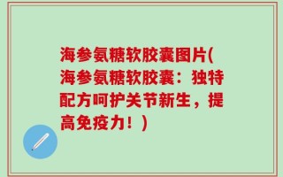 海参氨糖软胶囊图片(海参氨糖软胶囊：独特配方呵护关节新生，提高免疫力！)