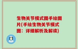 生物关节模式图手绘图片(手绘生物关节模式图：详细解析及解读)