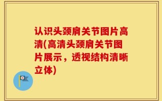 认识头颈肩关节图片高清(高清头颈肩关节图片展示，透视结构清晰立体)