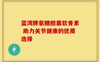 蓝湾牌氨糖胶囊软骨素 助力关节健康的优质选择