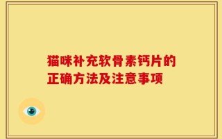 猫咪补充软骨素钙片的正确方法及注意事项