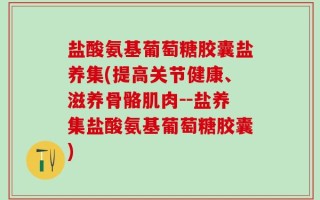盐酸氨基葡萄糖胶囊盐养集(提高关节健康、滋养骨骼肌肉--盐养集盐酸氨基葡萄糖胶囊)