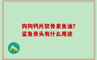 狗狗钙片软骨素鱼油？鲨鱼骨头有什么用途