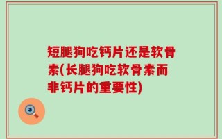短腿狗吃钙片还是软骨素(长腿狗吃软骨素而非钙片的重要性)