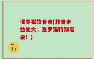 暹罗猫软骨素(软骨素益处大，暹罗猫特别需要！)