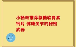 小杨哥推荐氨糖软骨素钙片 健康关节的秘密武器