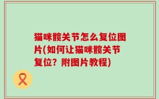 猫咪髋关节怎么复位图片(如何让猫咪髋关节复位？附图片教程)