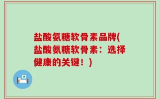 盐酸氨糖软骨素品牌(盐酸氨糖软骨素：选择健康的关键！)