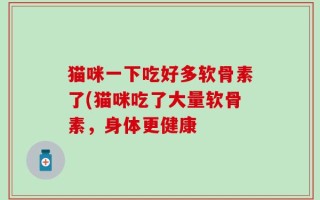 猫咪一下吃好多软骨素了(猫咪吃了大量软骨素，身体更健康