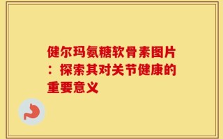 健尔玛氨糖软骨素图片：探索其对关节健康的重要意义