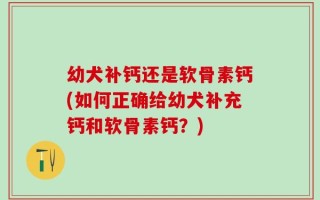 幼犬补钙还是软骨素钙(如何正确给幼犬补充钙和软骨素钙？)