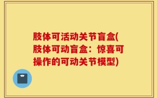 肢体可活动关节盲盒(肢体可动盲盒：惊喜可操作的可动关节模型)