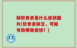 缺软骨素是什么症状图片(软骨素缺乏，可能导致哪些症状？)