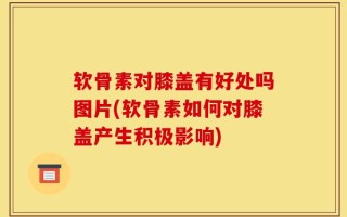 软骨素对膝盖有好处吗图片(软骨素如何对膝盖产生积极影响)