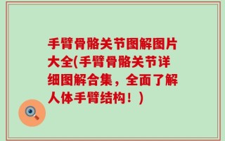 手臂骨骼关节图解图片大全(手臂骨骼关节详细图解合集，全面了解人体手臂结构！)