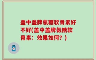 盖中盖牌氨糖软骨素好不好(盖中盖牌氨糖软骨素：效果如何？)