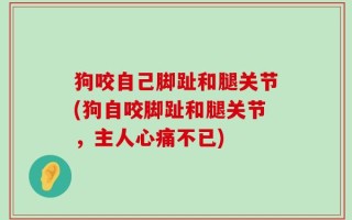 狗咬自己脚趾和腿关节(狗自咬脚趾和腿关节，主人心痛不已)