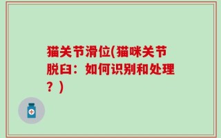 猫关节滑位(猫咪关节脱臼：如何识别和处理？)