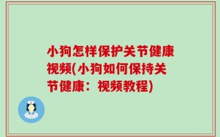 小狗怎样保护关节健康视频(小狗如何保持关节健康：视频教程)