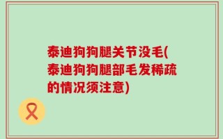 泰迪狗狗腿关节没毛(泰迪狗狗腿部毛发稀疏的情况须注意)