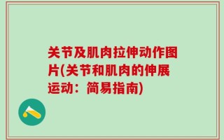 关节及肌肉拉伸动作图片(关节和肌肉的伸展运动：简易指南)