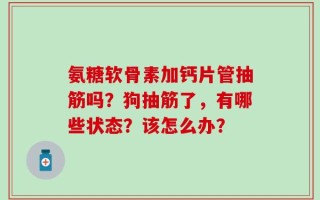 氨糖软骨素加钙片管抽筋吗？狗抽筋了，有哪些状态？该怎么办？