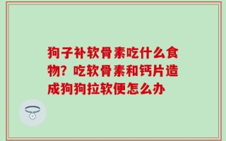 狗子补软骨素吃什么食物？吃软骨素和钙片造成狗狗拉软便怎么办