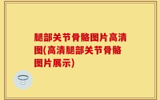 腿部关节骨骼图片高清图(高清腿部关节骨骼图片展示)