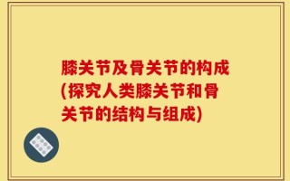 膝关节及骨关节的构成(探究人类膝关节和骨关节的结构与组成)