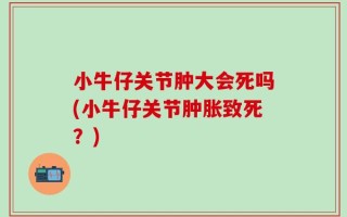 小牛仔关节肿大会死吗(小牛仔关节肿胀致死？)