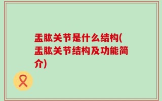 盂肱关节是什么结构(盂肱关节结构及功能简介)
